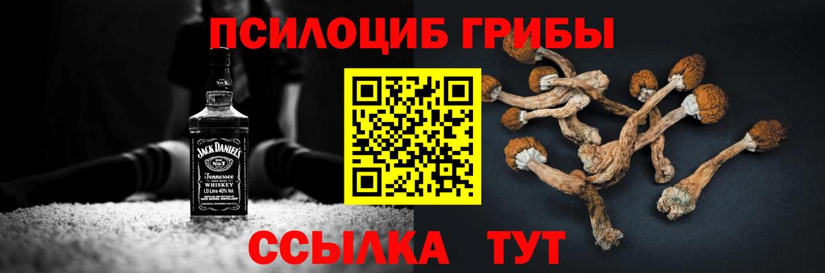 Псилоцибиновые грибы Cubensis  Вход с VPN  Якутск  Галлюциногенные грибы Psilocybine cubensis 